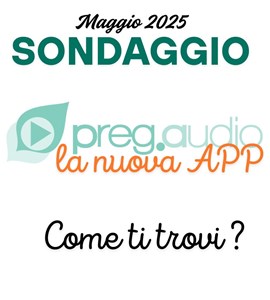 Sondaggio. Come va la nuova APP?